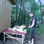 Training Unterordnung 14.06.2012 - Karl mit Luna am Tisch