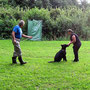 Training Unterordnung Junghunde - Abrufen 14.07.2011