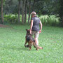 Training Unterordnung 05.07.2012 - Maria mit Edda beim Fussgehen