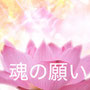 魂の願い【役立つ情報】