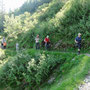 Am Weg zur Autenalm