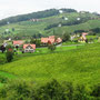 Südsteirische Weinstraße