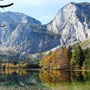 Herbststimmung am hint. Langbathsee