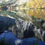 Spiegelbild am hint. Langbathsee