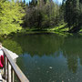 Der Stausee in der Klamm