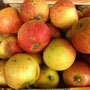 Alkmene-Apfel