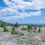 route de Baracoa
