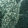 CLOSE UP SOLD