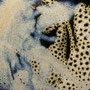 #DH1R CLOSE-UP.....SOLD