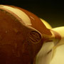 CARDEW'S WINCHCOMBE POTTERY STAMP USED BY HIM IN THE 1950'S