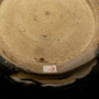 #LC1R CLOSE-UP