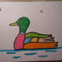 un canard a dit à sa canne