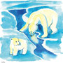 L'ours polaire