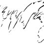 Dessin d'écorce à l'encre de chine