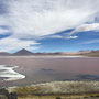 Die berühmte rötlich schimmernde Laguna Colorada .