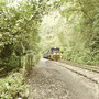 Hin und wieder fährt ein Zug diese Strecke entlang.
