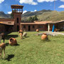 Rast auf einer Farm mit Kunsthandwerker Ausstellung. 