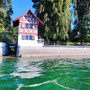 An manchen Stellen war das Wasser des der Bodensees richtig grün. 