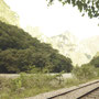 Das Rauschen des Rio Urubamba ist ständig zu hören, zu sehen ist er seltener. 
