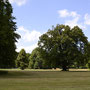 2015-06-28 Bad Muskau , Fürst Pückler Park