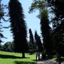 Kandy - im botanischen Garten