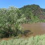 Cochem - Hochwasser 