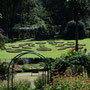 Kandy - im botanischen Garten