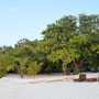 Traumstrand 