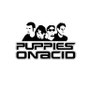 Bandlogo-Überarbeitung für die Puppies aus Oldesloe