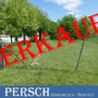 Ihr Persch Immobilien-Service - In den Landkreisen St. Wendel, Neunkirchen, Birkenfeld