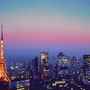 CityLights P4