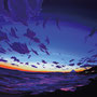 Inamura sunset P15(500×652)