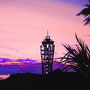  tower&palm P4(220×333) 