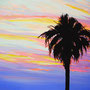 sunset palm P4