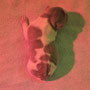 1.12.2021 - Filou