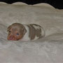 16.12.2021 - Filou