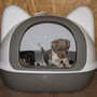 11.01.2022 - Frankie