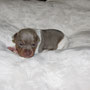 16.12.2021 - Frankie