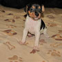 31.12.2021 - Fanny