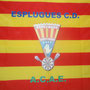 La bandera del club