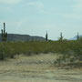 Sonoran Desert Road Trip with my Dad photo