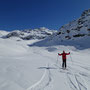 Sous Les Grands Bandons