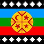 (c) san martin, lala - chile - bandera mapuche