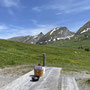 bei Alpwirtschaft "Wildmannli"