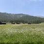 Blick auf Muletg