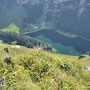 hinunter zum Seealpsee