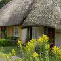 Adare: das schönste Dorf Irlands!
