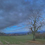 Blick zurück