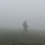 einsamer Pilzwanderer