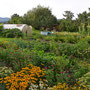 der prächtige Vorzeigegarten vor dem Casita